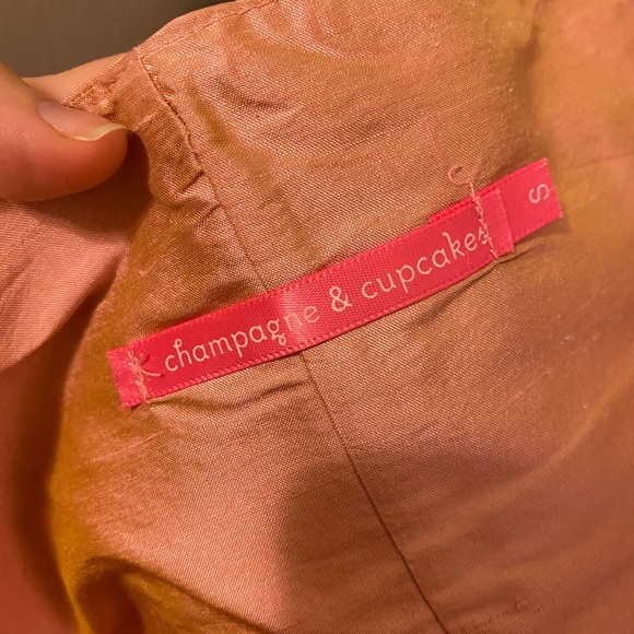 Champagne & Cupcakes Pink Rose Dress (Sz Small) - Picture 3 of 3